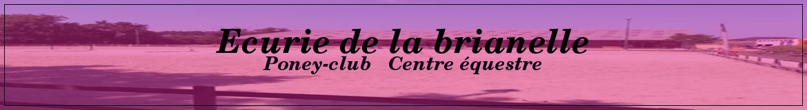 Ecurie de la brianelle